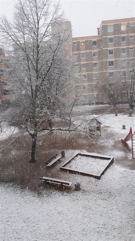 welcome to germany where its almost spring and this is the first snow