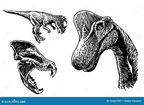 Vector Set Of Dinosaurs Isolated On White Background Graphical Elements