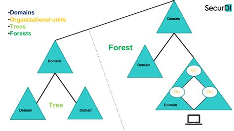 A Comprehensive Guide To Microsoft S Directory Service