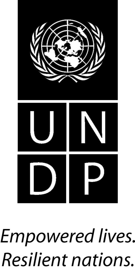 UN Innovation Network | Generative AI Group