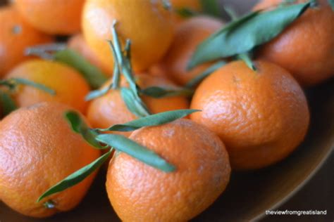 Fresh Tangerine Cake • The View From Great Island