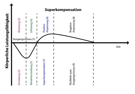 Superkompensation Und Trainingserfolg RunnersGate