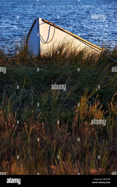 Rowboat In Marsh Grass The Lagoon Marthas Vineyard Massachusetts