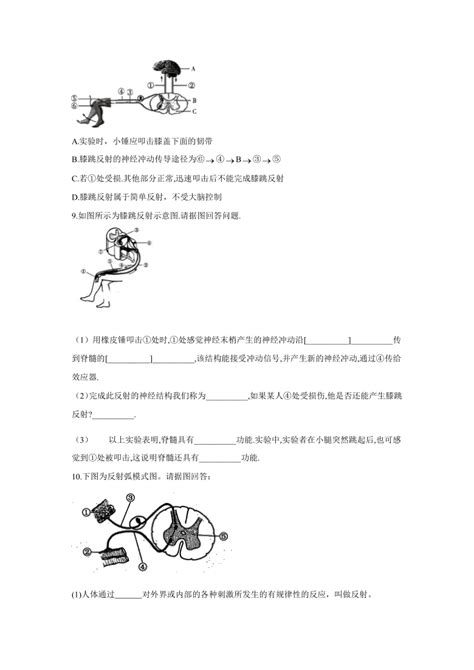 2021年中考生物一轮复习重点实验汇集：11膝跳反射（word版 含答案解析） 21世纪教育网