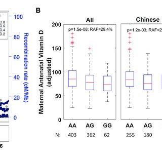 A Regional Association Plot For Rs10789082 CYP2J2 And