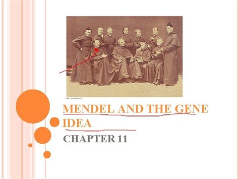 Mendel And The Gene Idea Chapter What