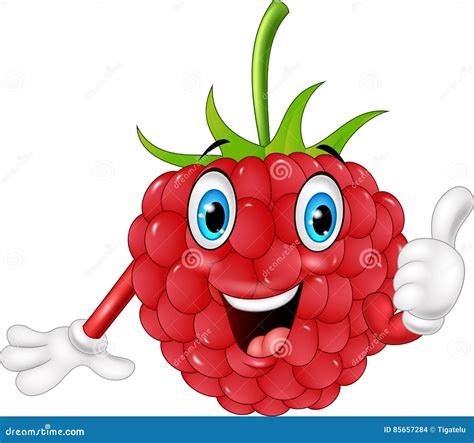 Cartoon Raspberry Giving Thumbs Up Stock Vector Illustration Of Plant