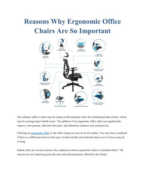 Reasons Why Ergonomic Office Chairs Are So Important By Nextchairs