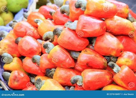 Cashew Fruit For Sale At Fairs Stock Image Image Of Farming Nature