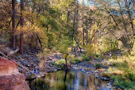 Manzanita Campground Coconino Az 6 Hipcamper Reviews And 13 Photos