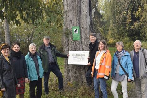 Stadt Hildesheim gestaltet Grünanlagen naturnah