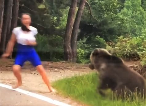 【衝撃動画】野生クマの真横で記念撮影しようとした女性の末路 超接近して熊激怒 → 襲われる ｜ ガジェット通信 Getnews