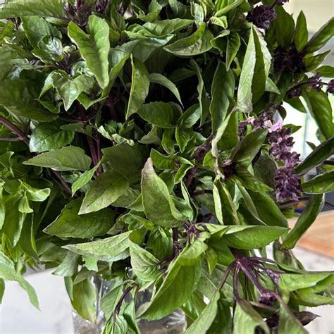 Vip Add On Cinnamon Basil Sosnicki Organics