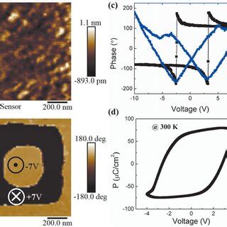 A Afm Morphology Of The Lsmo Pzt Film B Pfm Image Of Lsmo Pzt After