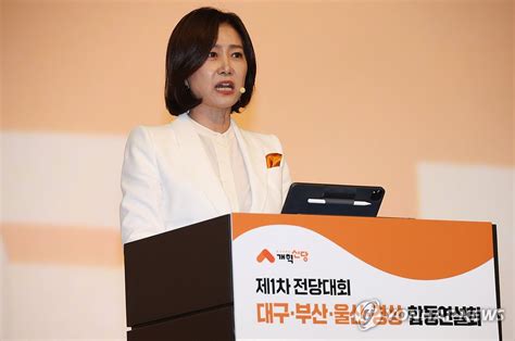 속보 개혁신당 새 대표에 허은아 연합뉴스