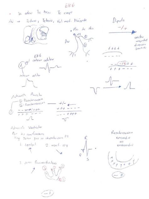 Apuntes Ekg Christian Pesantez Udocz