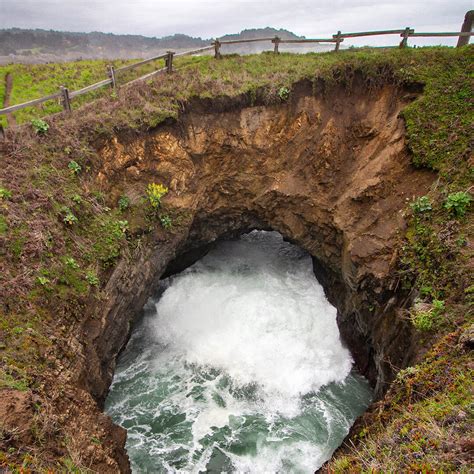 Sinking Whole In Mendocino Ca With Photos