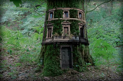 Post The Most Beautiful Treehouses From All Over The World Bored Panda