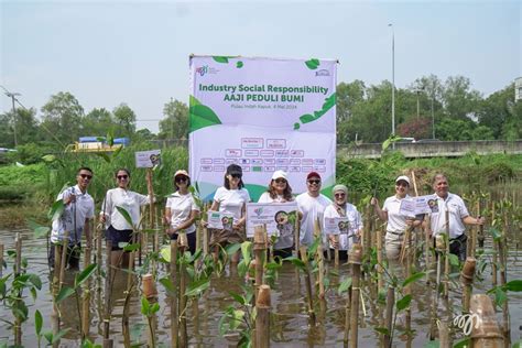 Peduli Lingkungan AAJI Tanam 2 Ribu Bibit Mangrove Di Pantai Indah