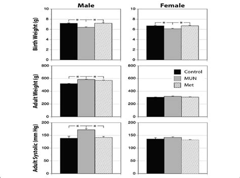 The Effects Of Maternal Undernutrition MUN On Offspring Body Weight