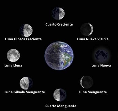 Fases Lunares Que Y Cual Son Las Fases De La Luna Online Star Register