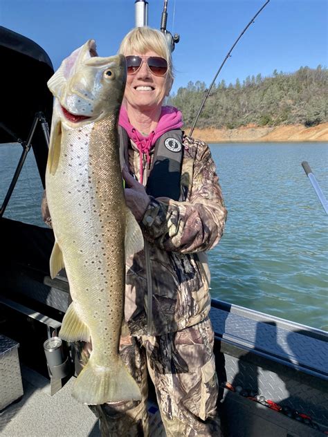 Shasta Lake Fish Report Shasta Lake Spring Trout Bite Is On