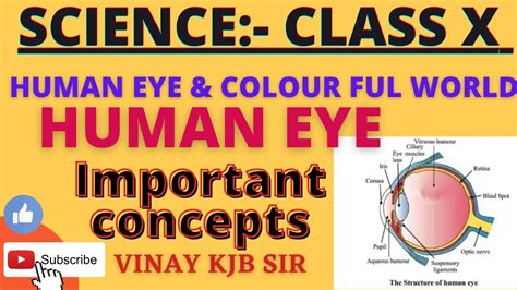 Cbse Class Science Chapter Human Eye And Colour Ful World