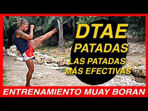 Tutorial De Patadas Basicas Dtae Del Muay Thai Boran Muayboran