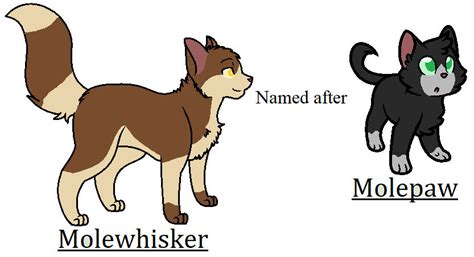 Molewhisker named after Molepaw by Warrior-SpaceRanger on DeviantArt