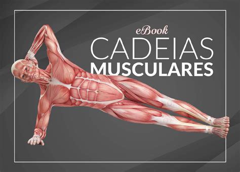 Cadeias Musculares Fisioterapia