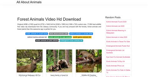 Forest Animals Video Hd Download