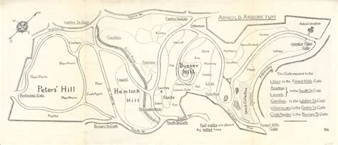 Arnold Arboretum Curtis Wright Maps