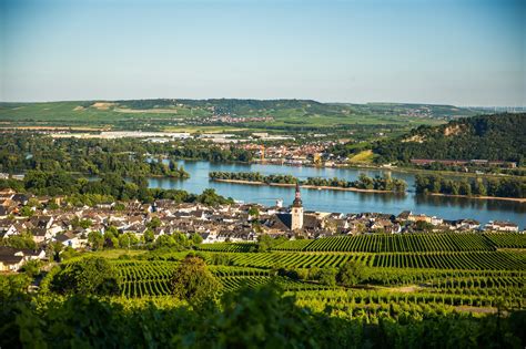 Die Schönsten Fernwanderwege In Wiesbaden Rheingau Outdooractive