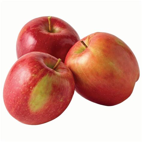 Malus Domestica Fuji Apple Leafland Limited Best Price Buy