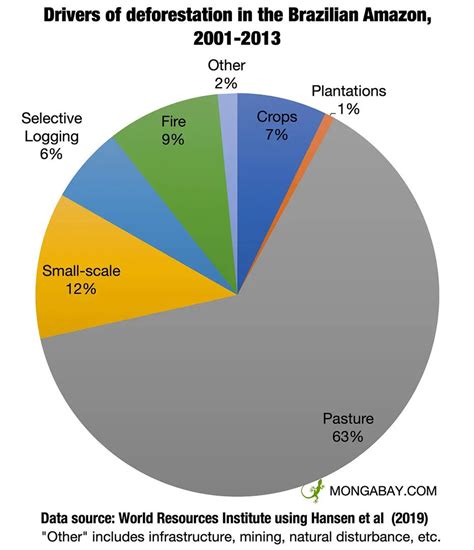 Deforestation in Amazon