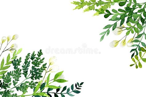 Corner Greenery Stock Illustrations 4667 Corner Greenery Stock