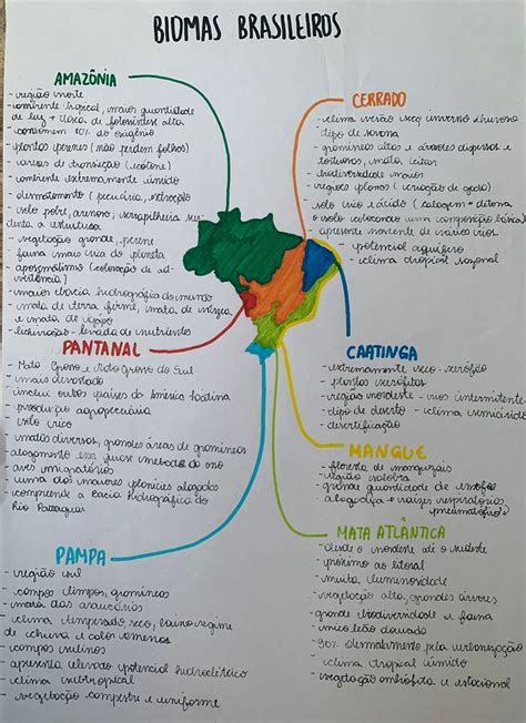 Biomas Do Brasil Mapa Mental Geografia Geografia Do Brasil Hot Sex