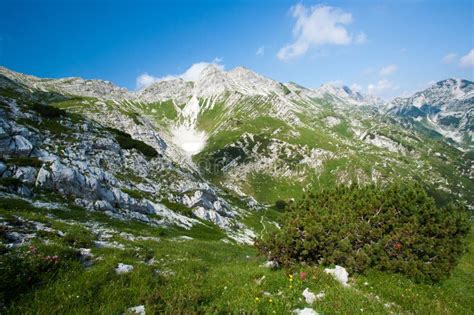 Landscape in alps stock photo. Image of scenic, range - 16866104