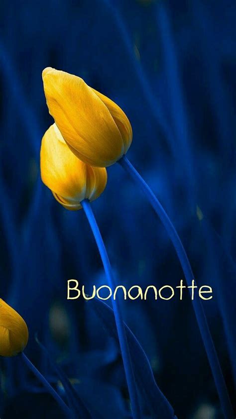 Pin Di Beatrice Casillo Su Buonanotte Buonanotte Auguri Di Buona