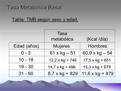 Nacimiento Sin Cabeza Juicio Tasa Metabolica Calcular Estropeado