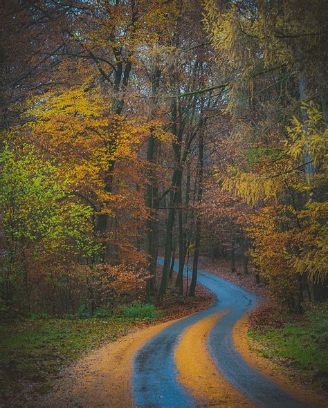 Last Autumn Vibes In Belgium Rpics