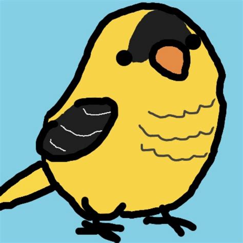 Golden Finch Youtube
