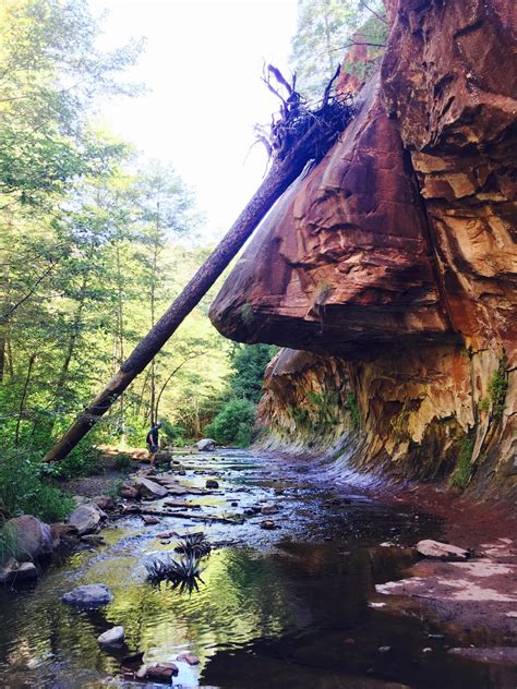 West Fork Trail In Sedona Az Rhiking