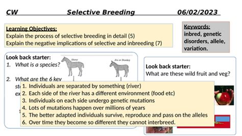 Selective Breeding Teaching Resources