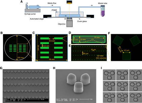 Design And Fabrication Of The Multiplexed Microfluidic Platform