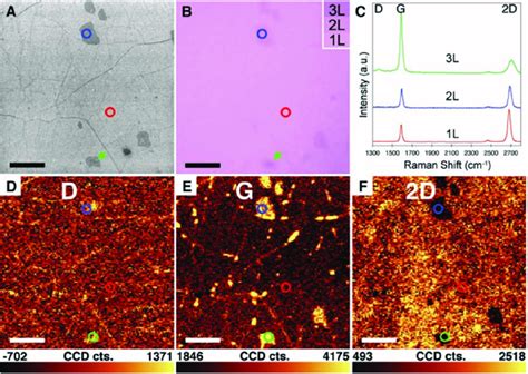 A Sem Image Shows The Transferred Graphene On Sio Si With Some