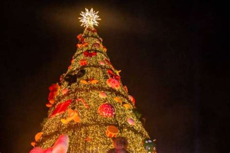 Rvore De Natal De Metros Inaugurada No Parque Villa Lobos Saiba