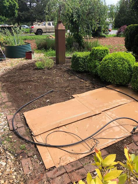 DIY Cardboard Weed Barrier