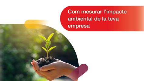 Mesurar L Impacte Ambiental De La Teva Empresa Youtube