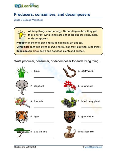 Producers Consumers And Decomposers Worksheet